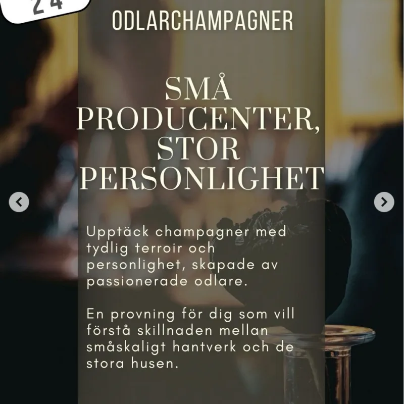 24 januari – Tema: Odlarchampagner