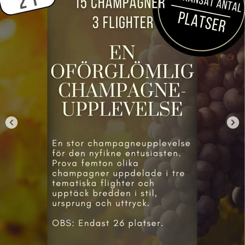 21 mars – Tema: 15 champagner, 3 flighter